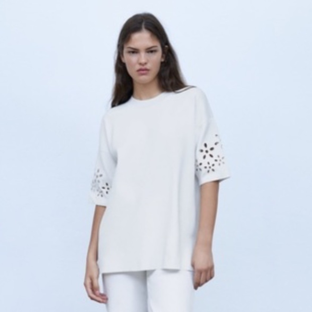 Zara Knit Embroidered Eyelet Sleeve Top